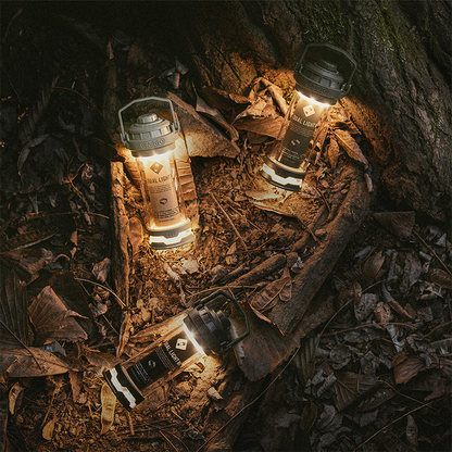 Dual Light Series