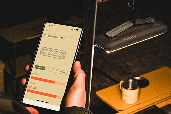 Smart Lighting Control