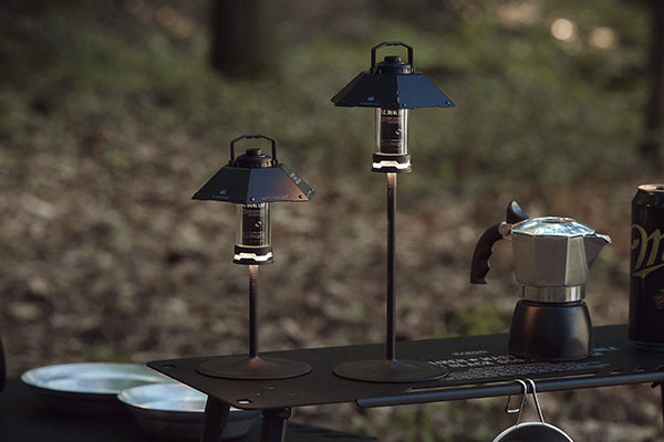 Dual Light Kit
