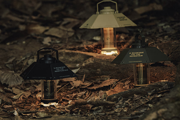 Shape the Light. Elevate the Experience.