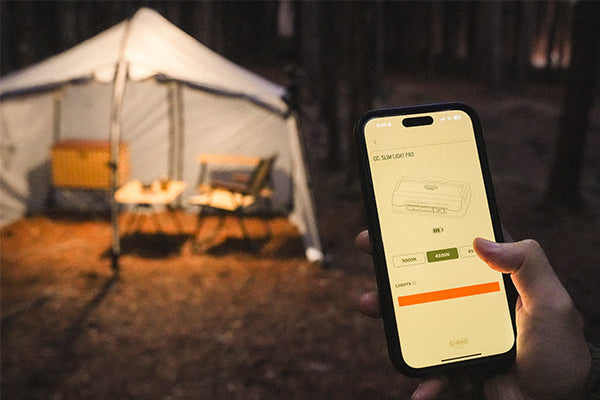 Smart Control at Your Fingertips