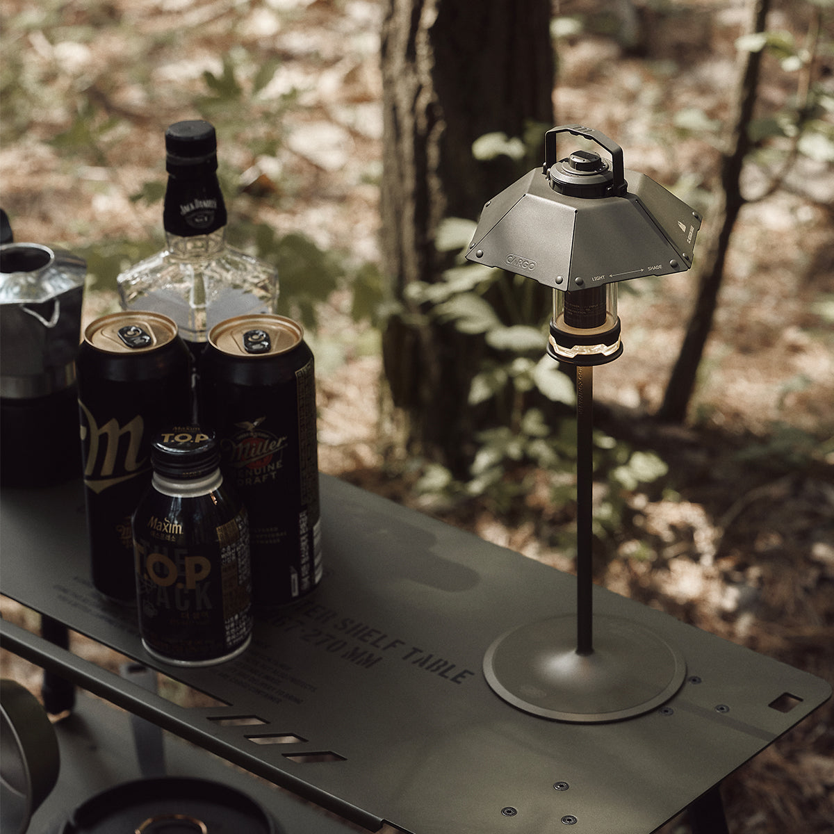Dual Light Camping Lighting System Kit