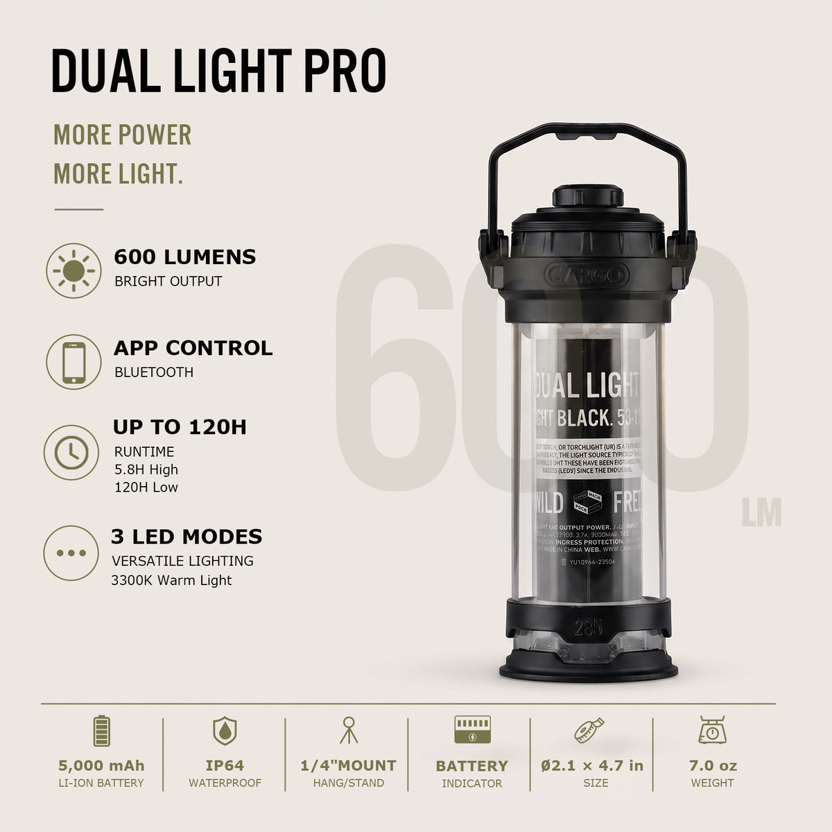 Dual Light Series