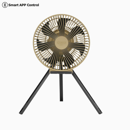 Multi Fan