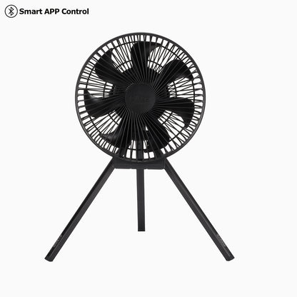 Multi Fan
