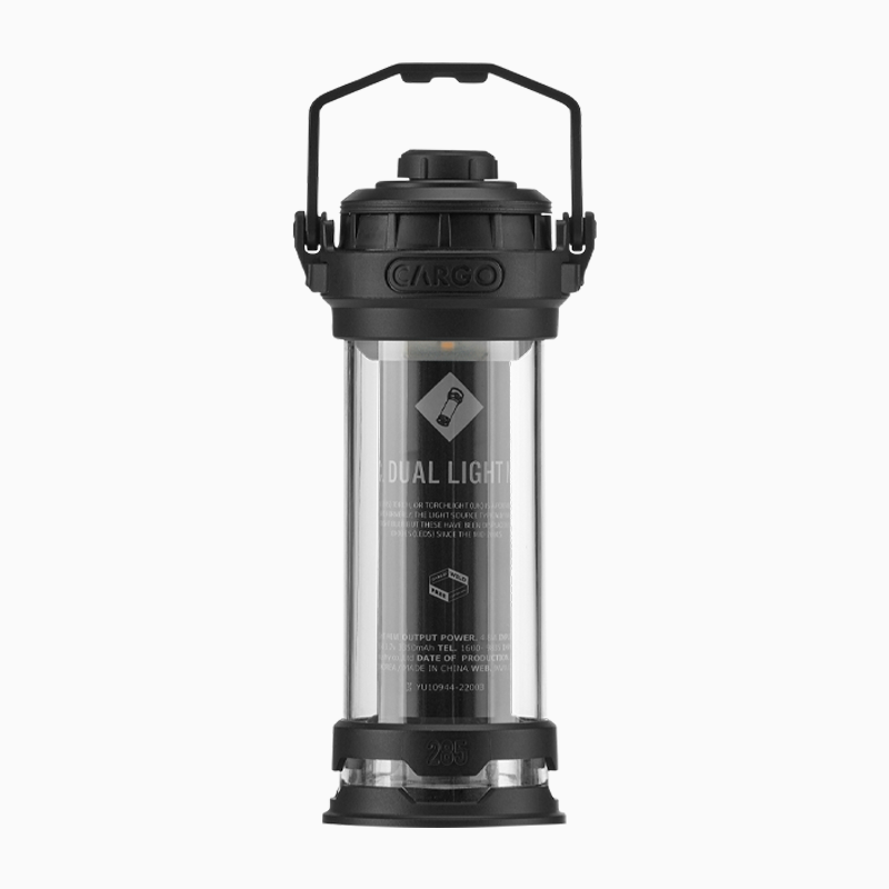 DUAL LIGHT